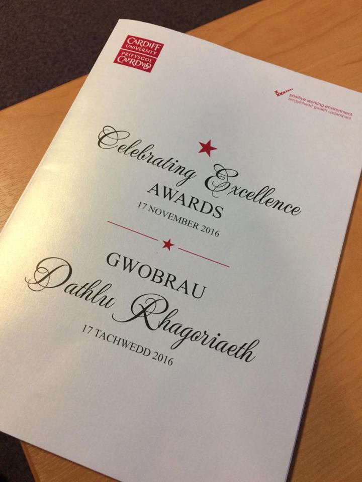 Double success at the Celebrating Excellence Awards