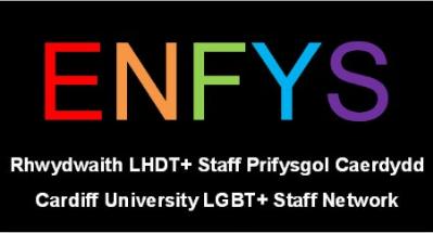 Enfys logo