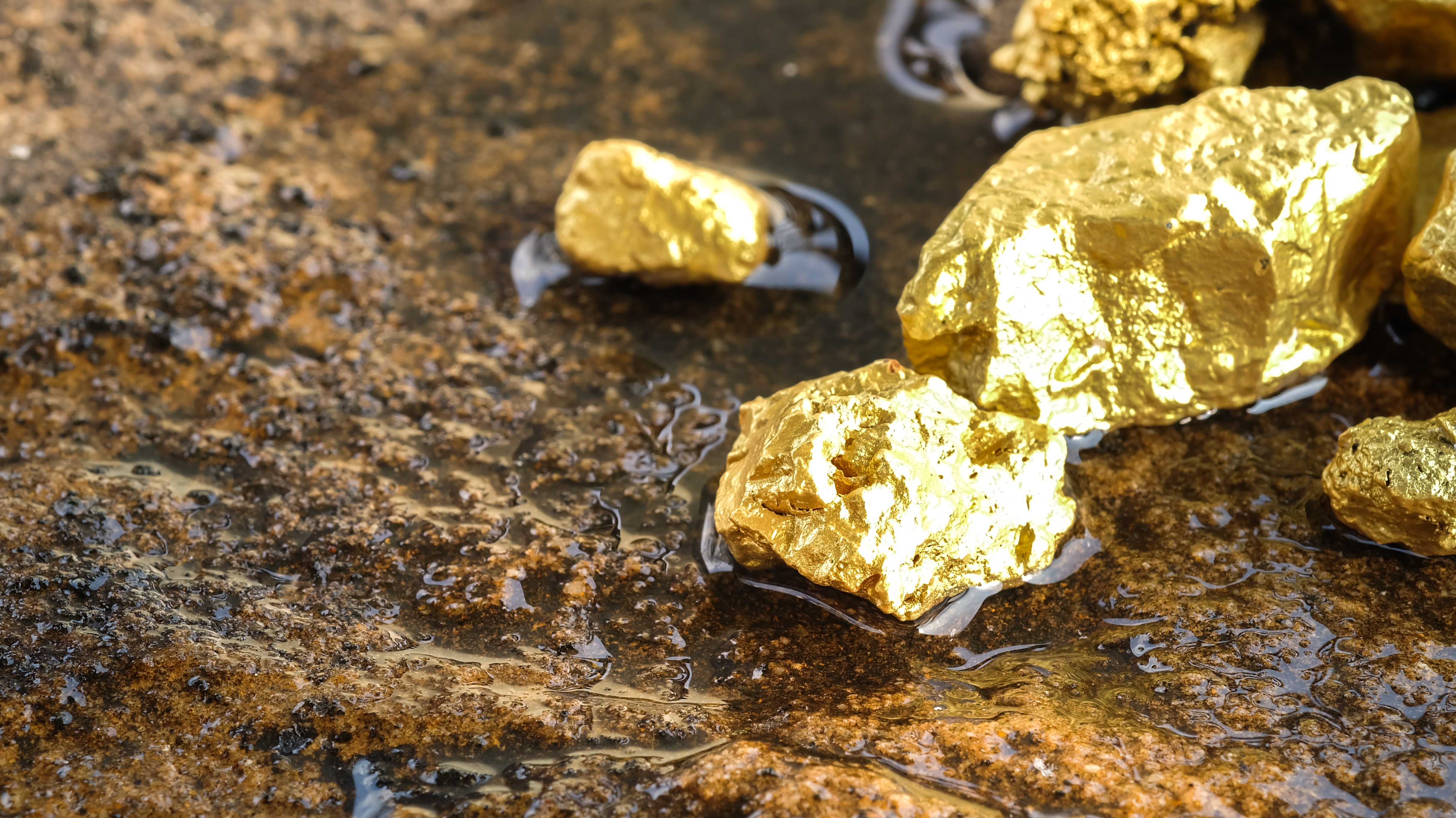 Золото из угля. Золотой прииск золото Сёмина. Месторождение золота. Золото в природе. Россыпные месторождения золота.