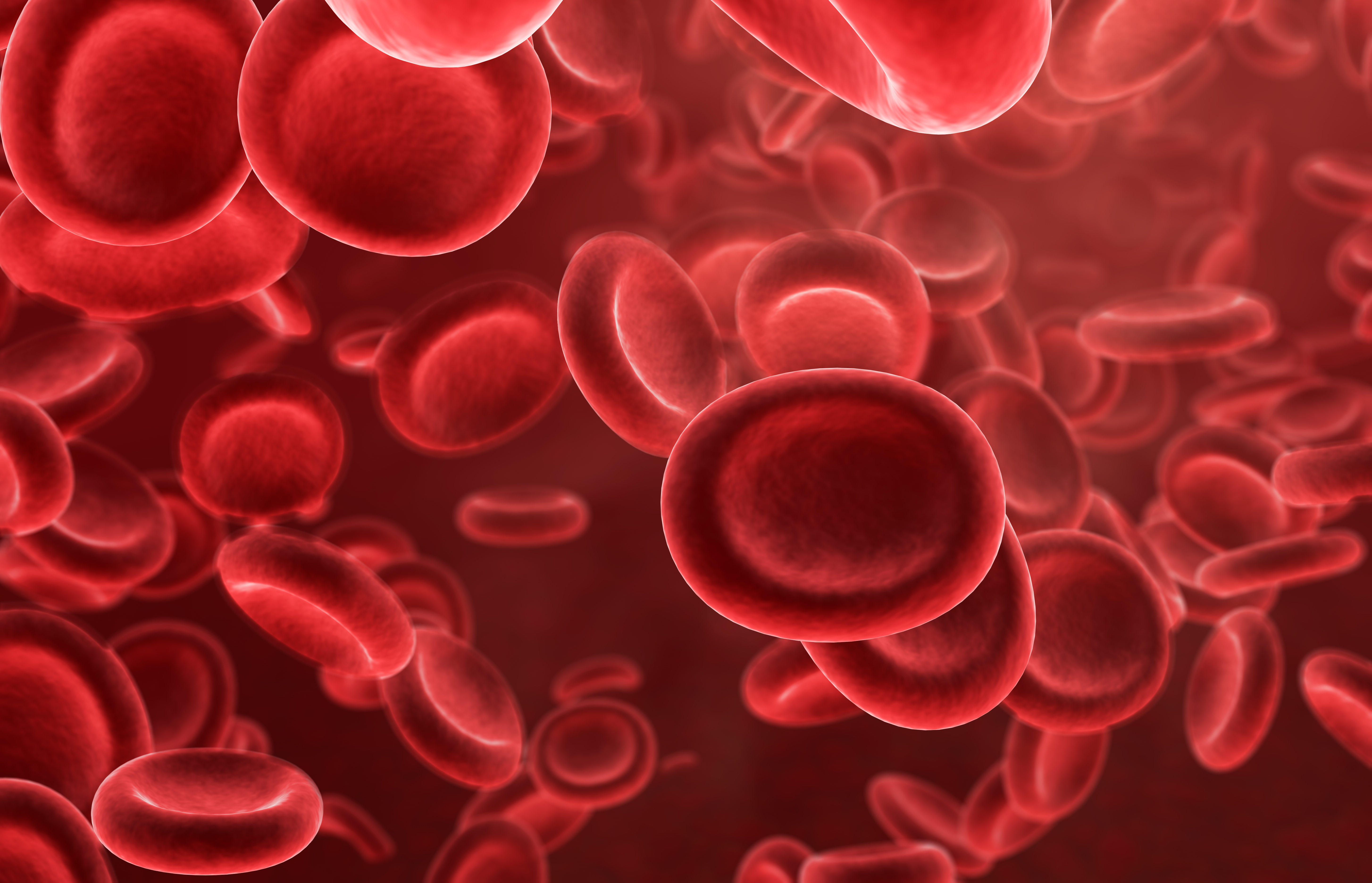 Кровь микро. Гемофилия кровоизлияния. Клетки крови. Эритроциты. Красные клетки крови.