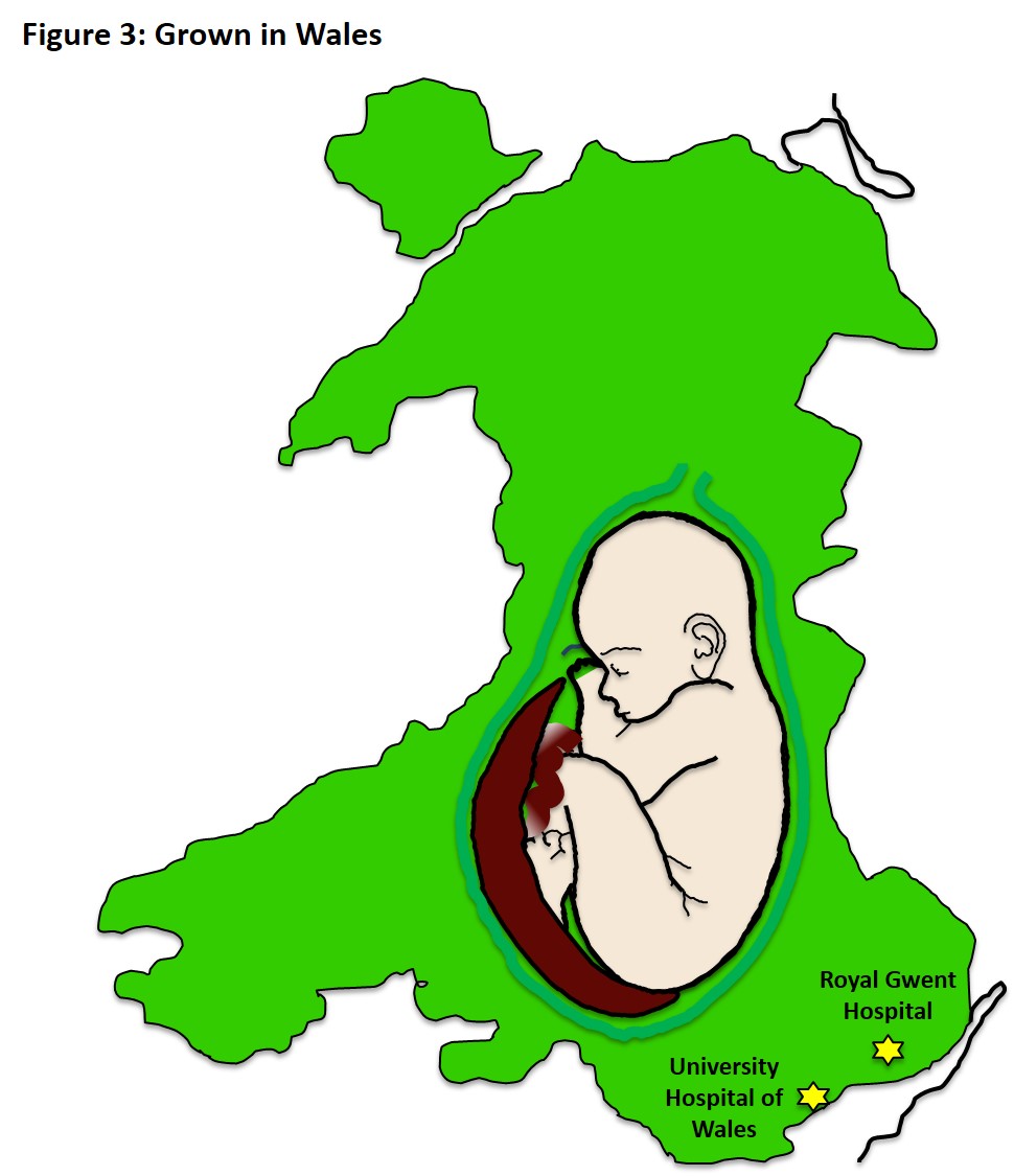 Image of map grown in Wales