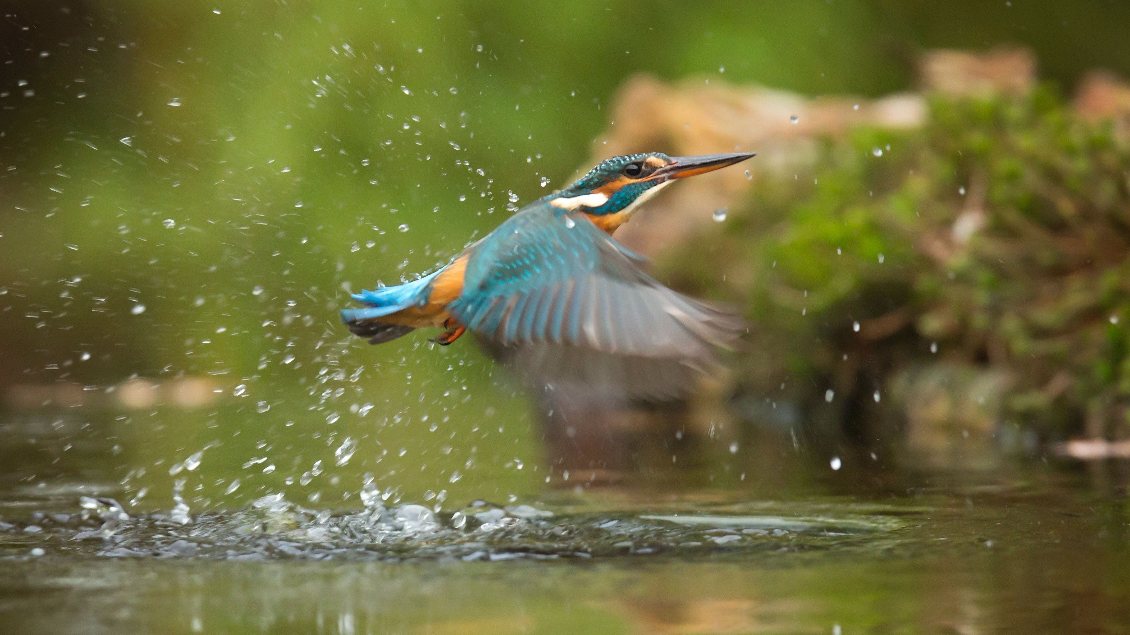 Звук воды и пение птиц