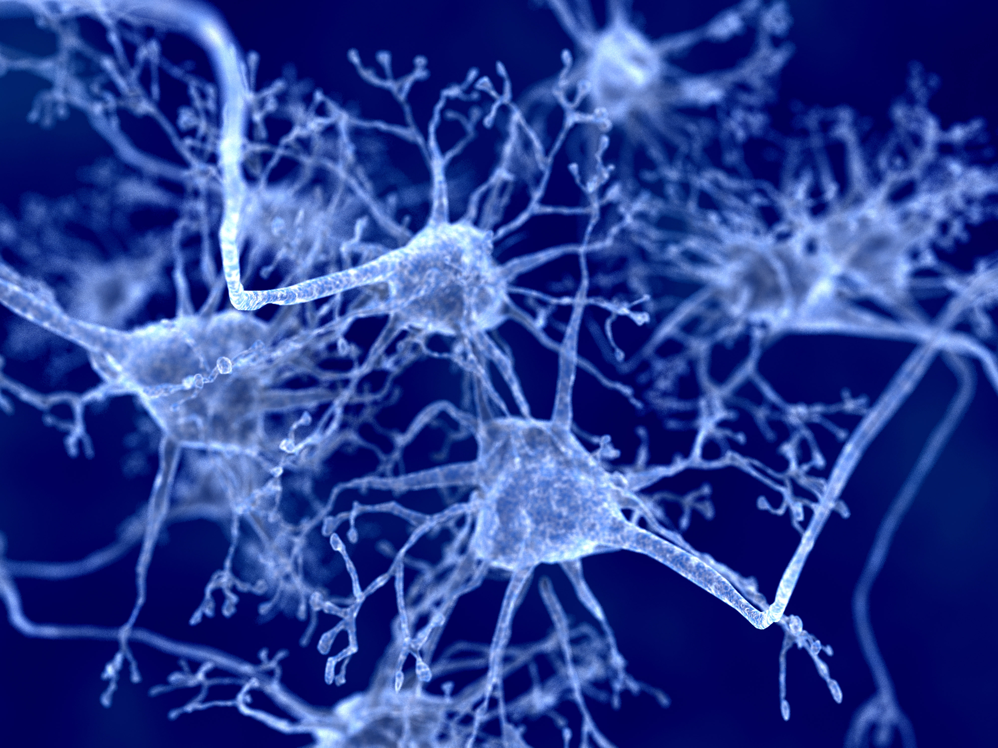 Восстановление клеток мозга. Нейрон микрофотография. Нейронная клетка. Клетки головного мозга. Нейронные связи.