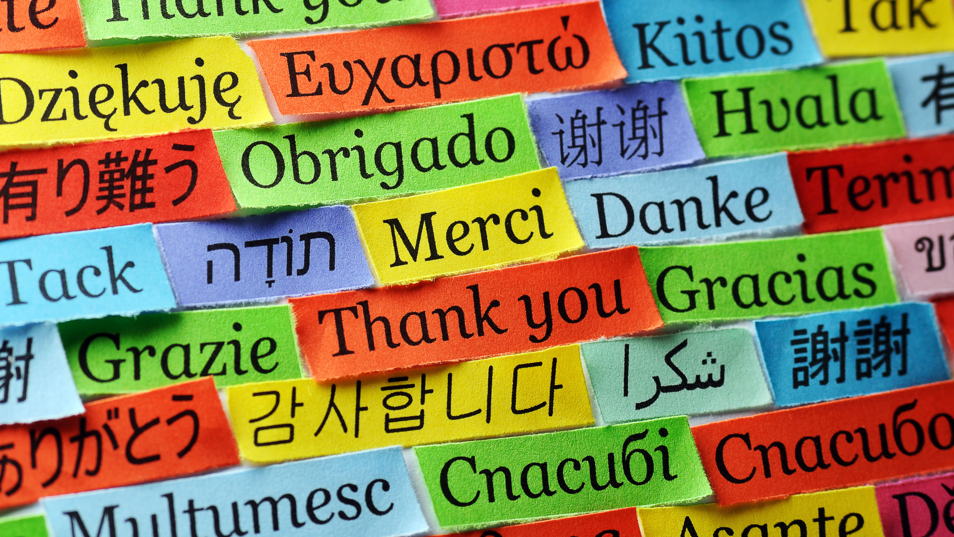В мире существует много языков. Иностранные языки картинки.
