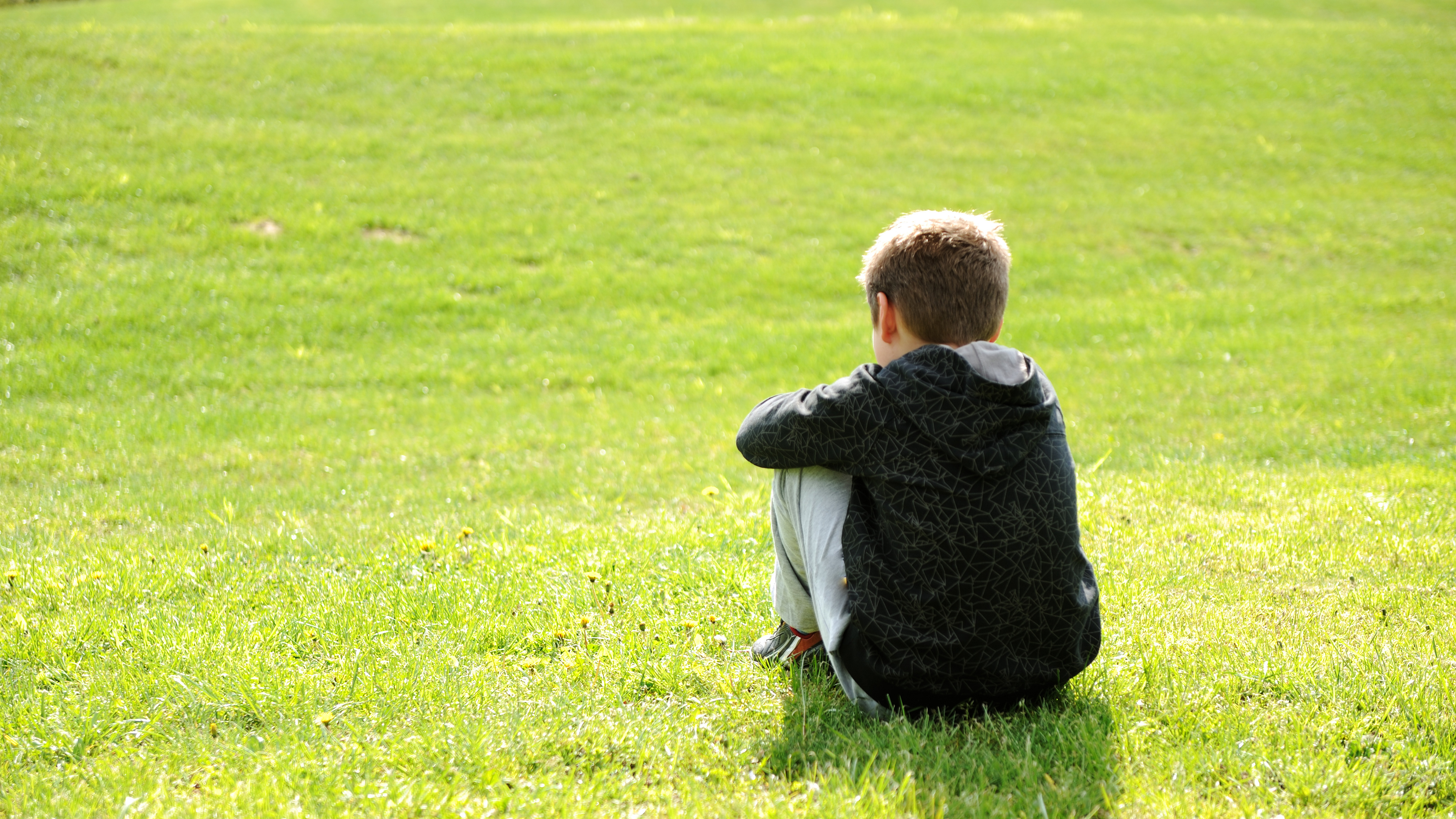 Photograph of a young boy sitting alone in a field with his back to the camera