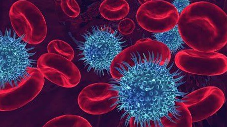 Blood Borne Viruses (BBV) and Me - Research - Cardiff University