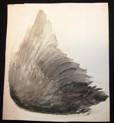 a feather for miss susie