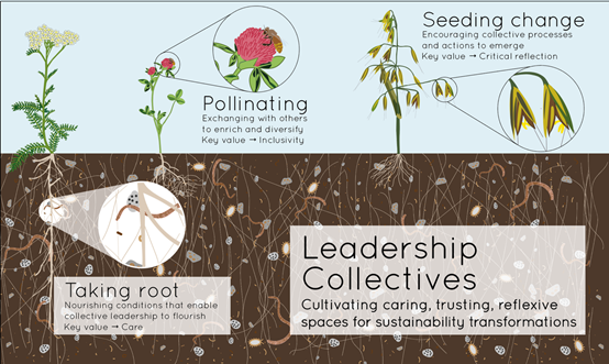 Leadership collectives to enable sustainability transformations - News ...