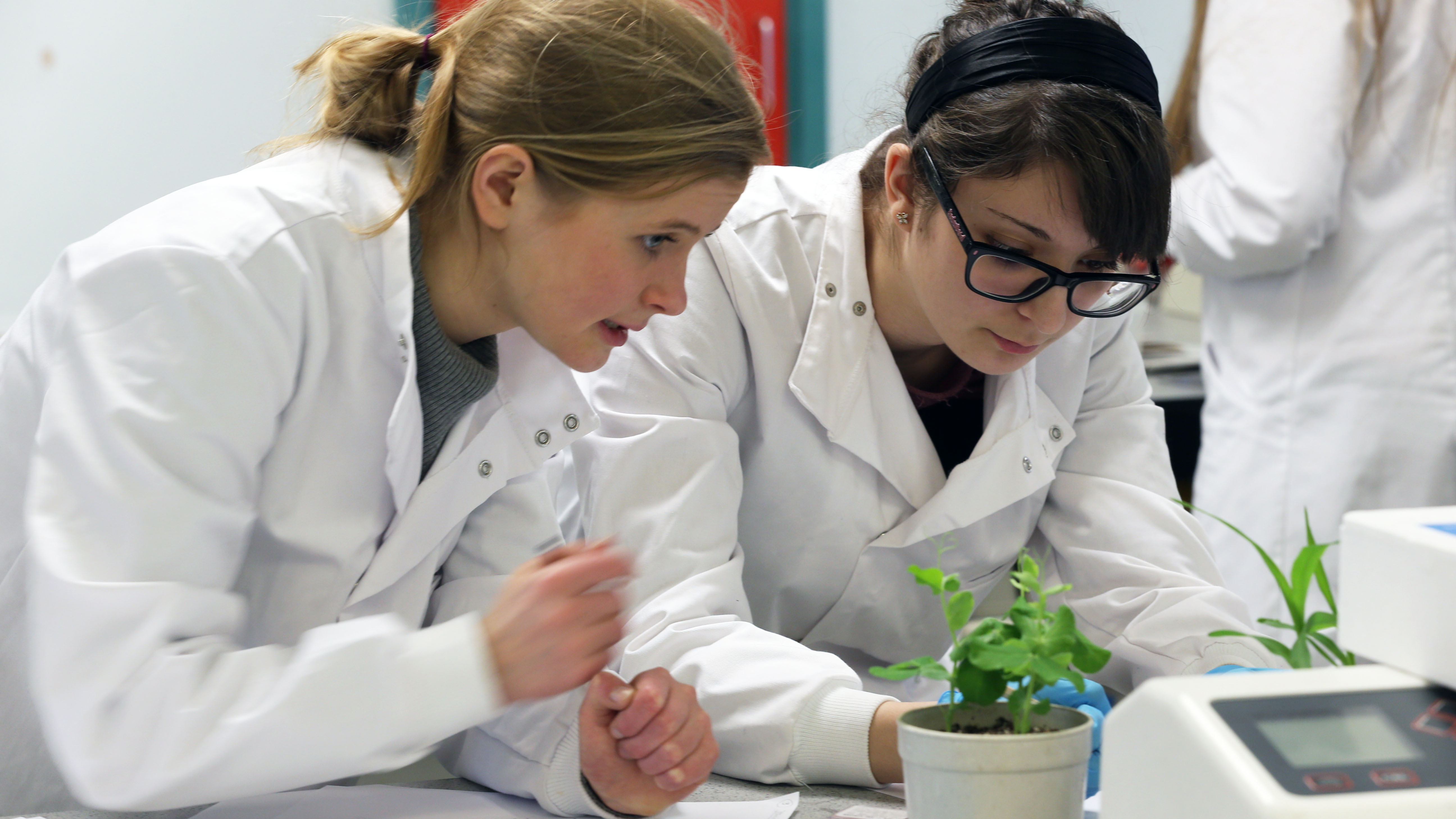 Study - About - Cardiff University